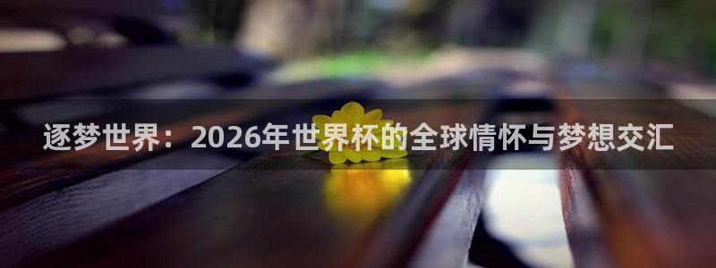亚洲杯足球：逐梦世界：2026年世界杯的全球情怀与梦想交汇