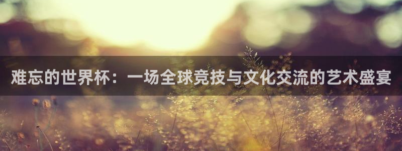 世界杯预选赛亚洲区积分榜：难忘的世界杯：一场全球竞技与文化交流的艺术盛宴