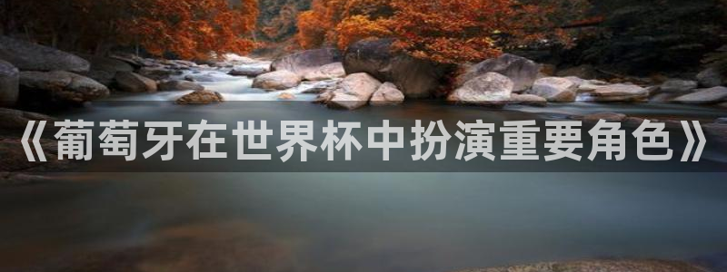 世界杯足球赛2026：《葡萄牙在世界杯中扮演重要角色》