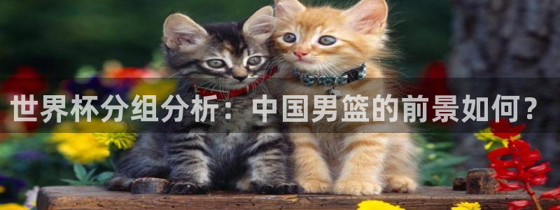 世界杯女足直播：世界杯分组分析：中国男篮的前景如何？