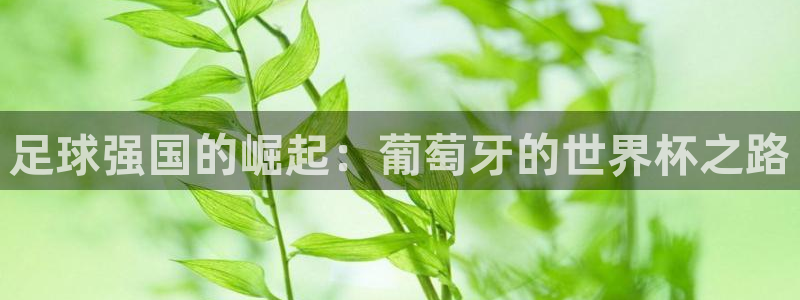 2026世界杯32强对阵图表：足球强国的崛起：葡萄牙的世界杯之路