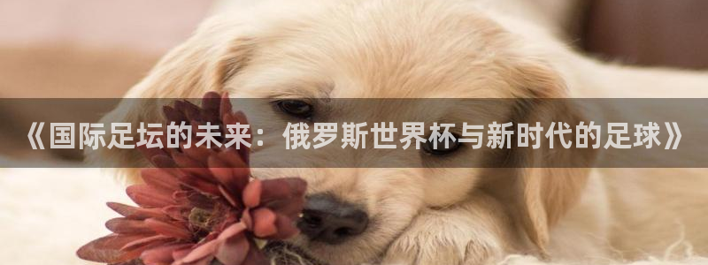 世界杯预赛赛程：《国际足坛的未来：俄罗斯世界杯与新时代的足球》