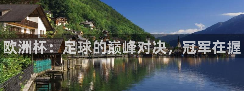 世界杯球队排名：欧洲杯：足球的巅峰对决，冠军在握