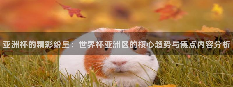 2026世界杯赛程表完整版：亚洲杯的精彩纷呈：世界杯亚洲区的核心趋势与焦点内容分析