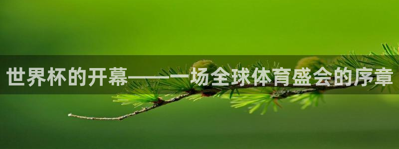 足球世界杯2026年赛程时间表：世界杯的开幕——一场全球体育盛会的序章