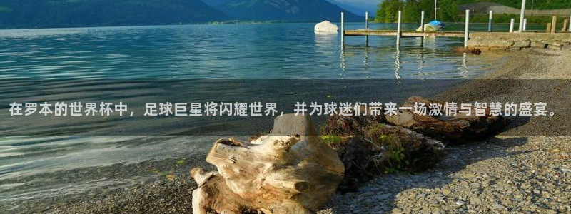 世界杯官网：在罗本的世界杯中，足球巨星将闪耀世界，并为球迷们带来一场激情与智慧的盛宴。