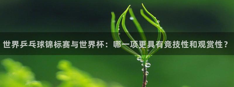 2026男足世界杯赛程：世界乒乓球锦标赛与世界杯：哪一项更具有竞技性和观赏性？