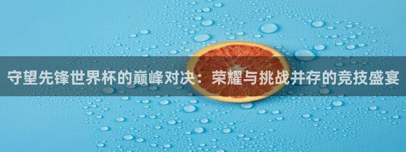 世界杯决赛直播：守望先锋世界杯的巅峰对决：荣耀与挑战并存的竞技盛宴