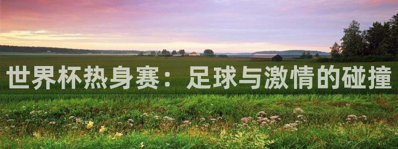 2026世界杯买球：世界杯热身赛：足球与激情的碰撞